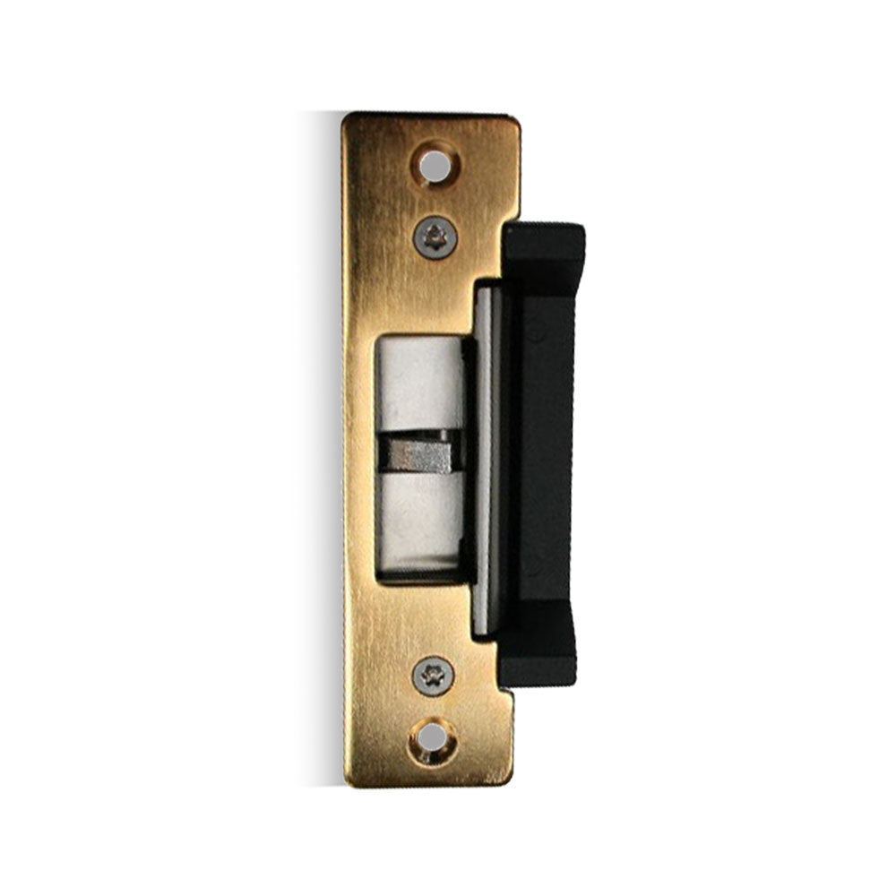 GK310-PBS – Faceplate